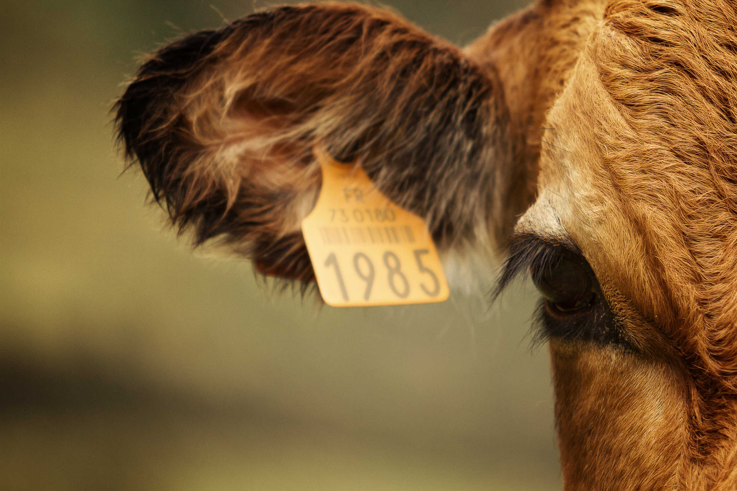 Un numéro parmi d'autres