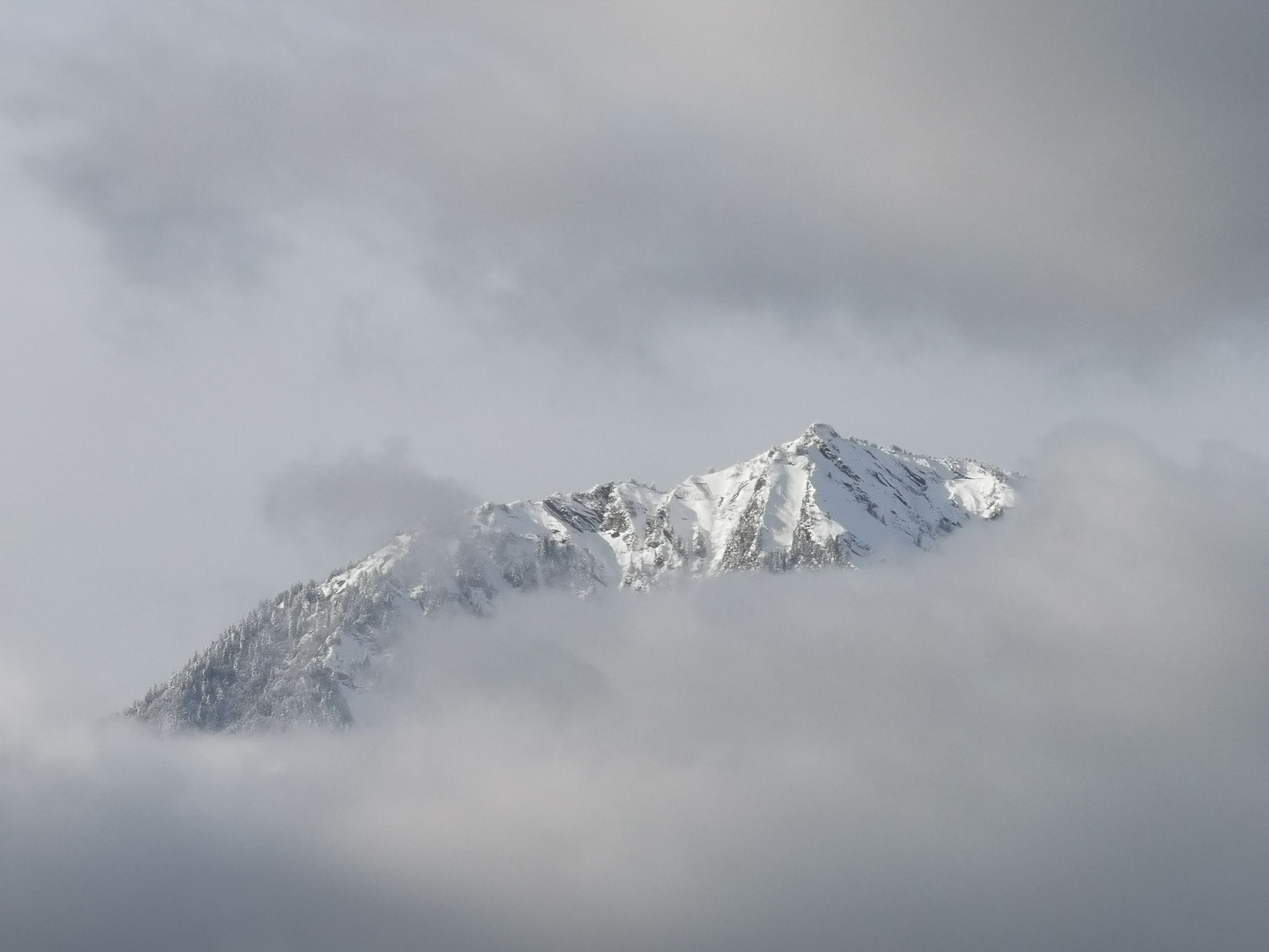 2021-01-04 La Belle Étoile enneigée