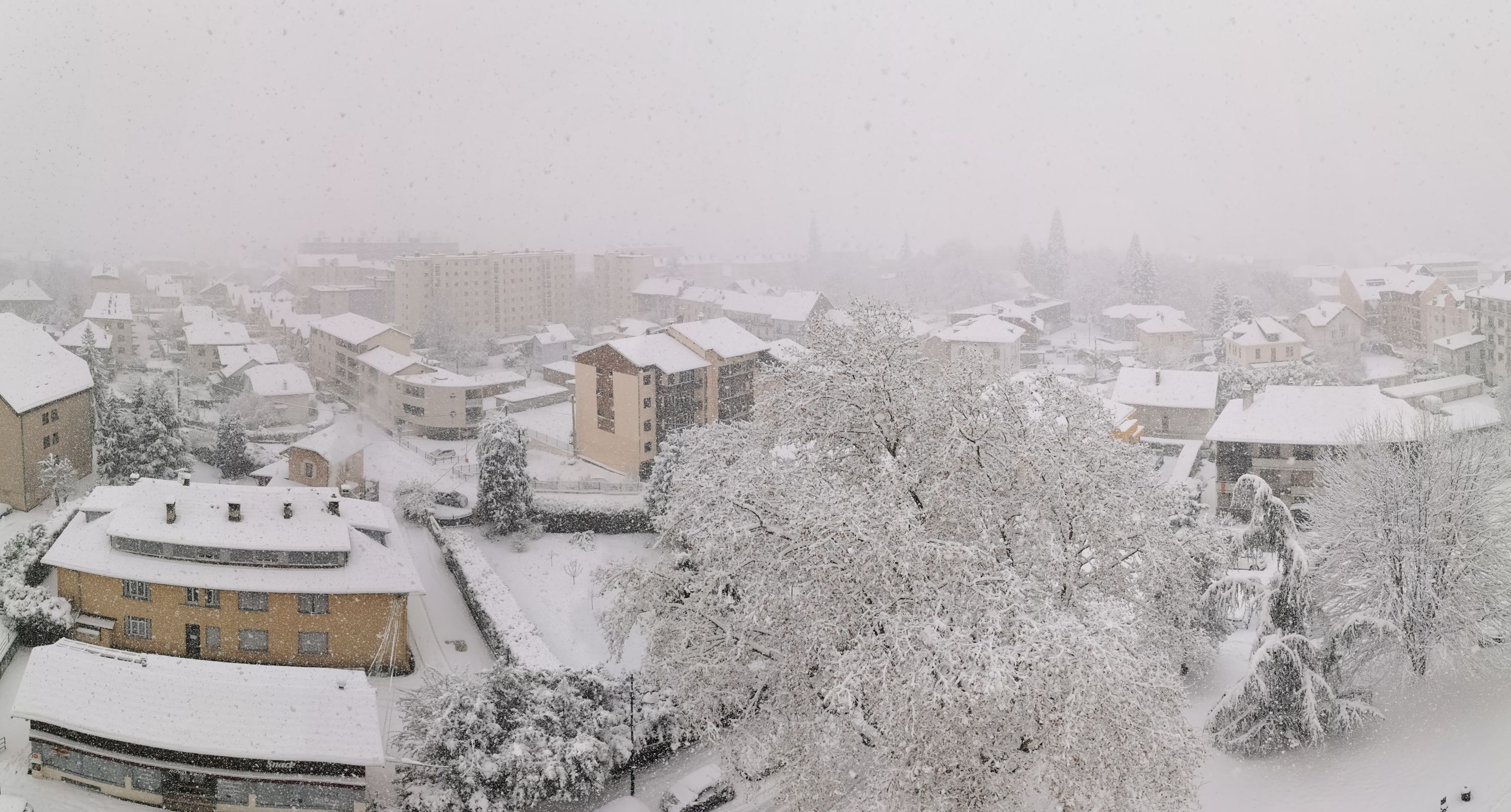 2021-12-10 Chutes de neige