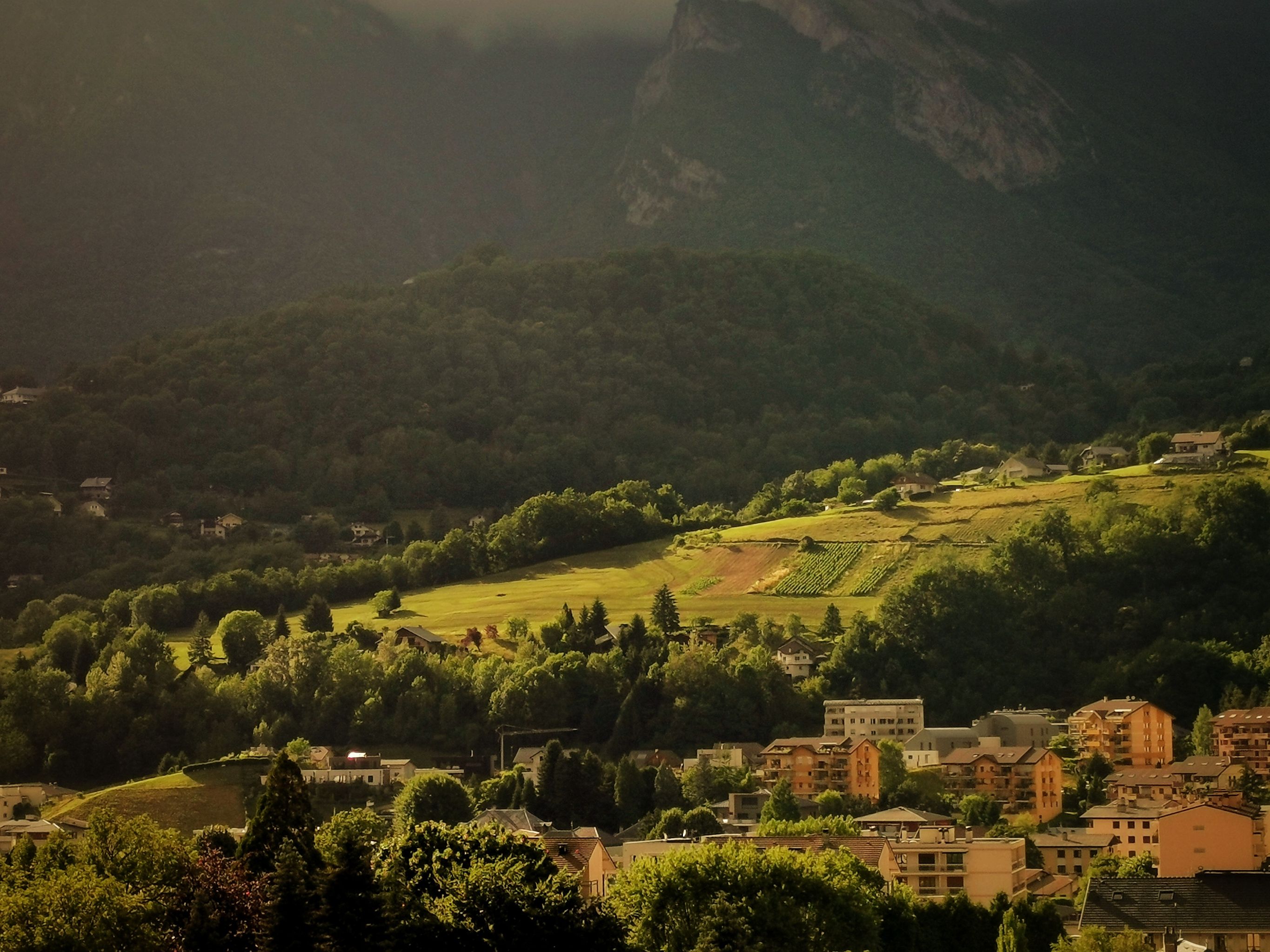 2022-06-09 Versants de Pallud