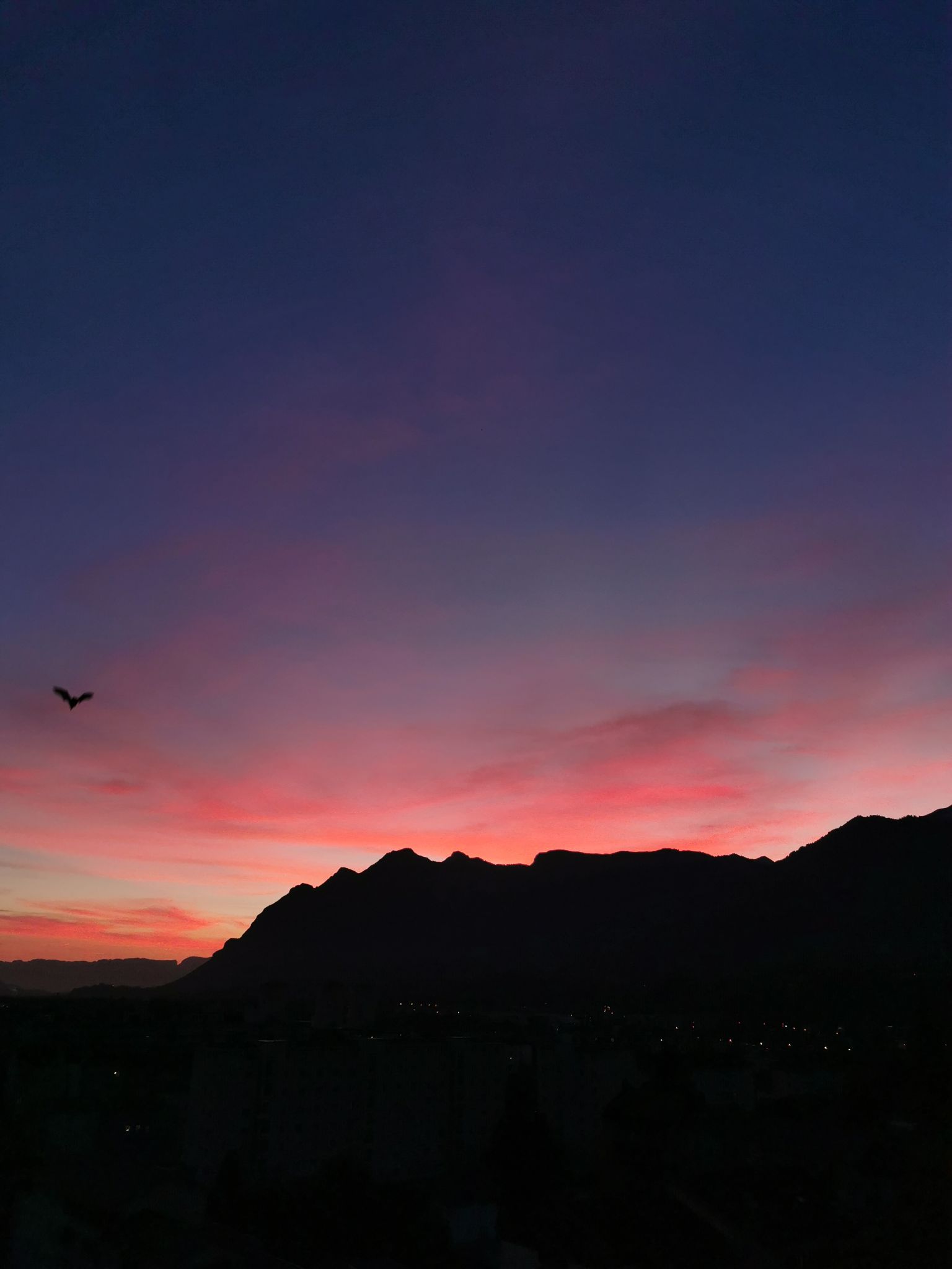 2024-10-13 Chauve-souris devant un coucher de soleil sur les Bauges