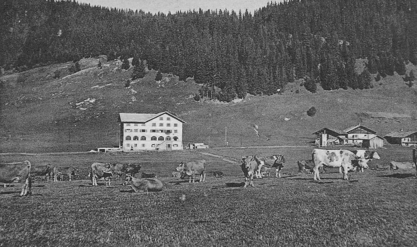 L’hôtel Couttet et un troupeau de vaches en premier plan
