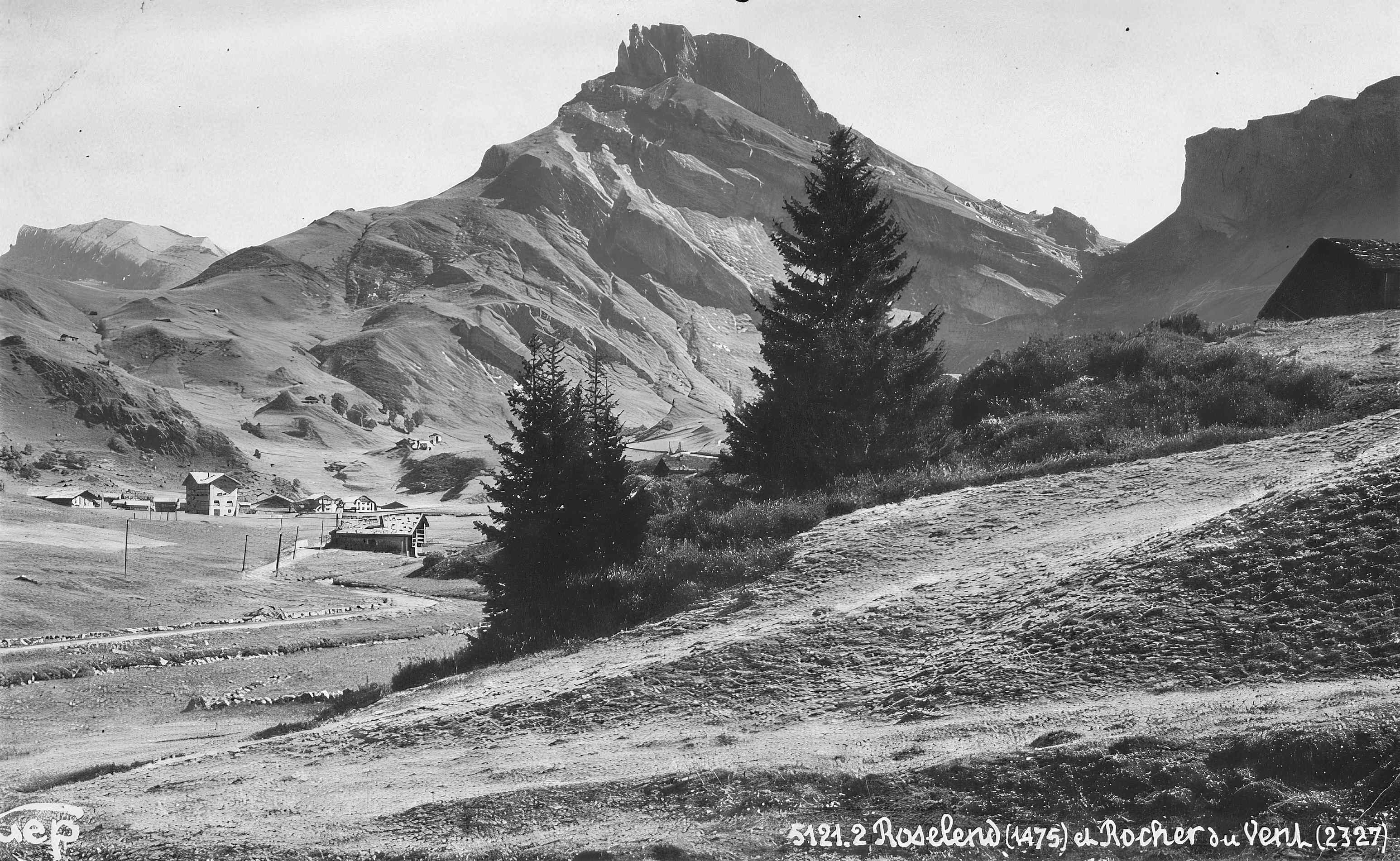 Le vallon de Roselend et le Roc du Vent, sapins au premier plan