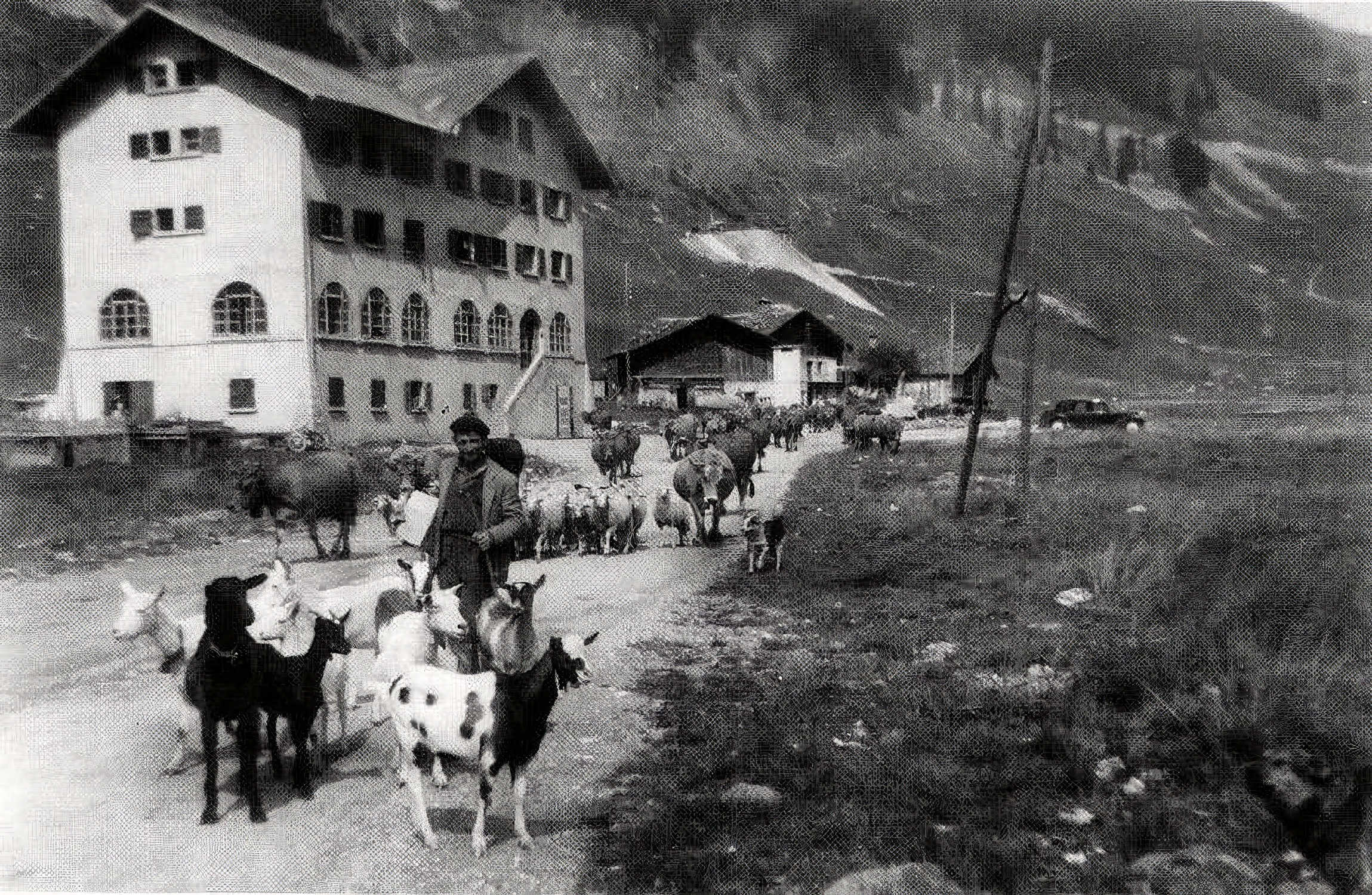 Un berger et son troupeau devant l’hôtel Couttet