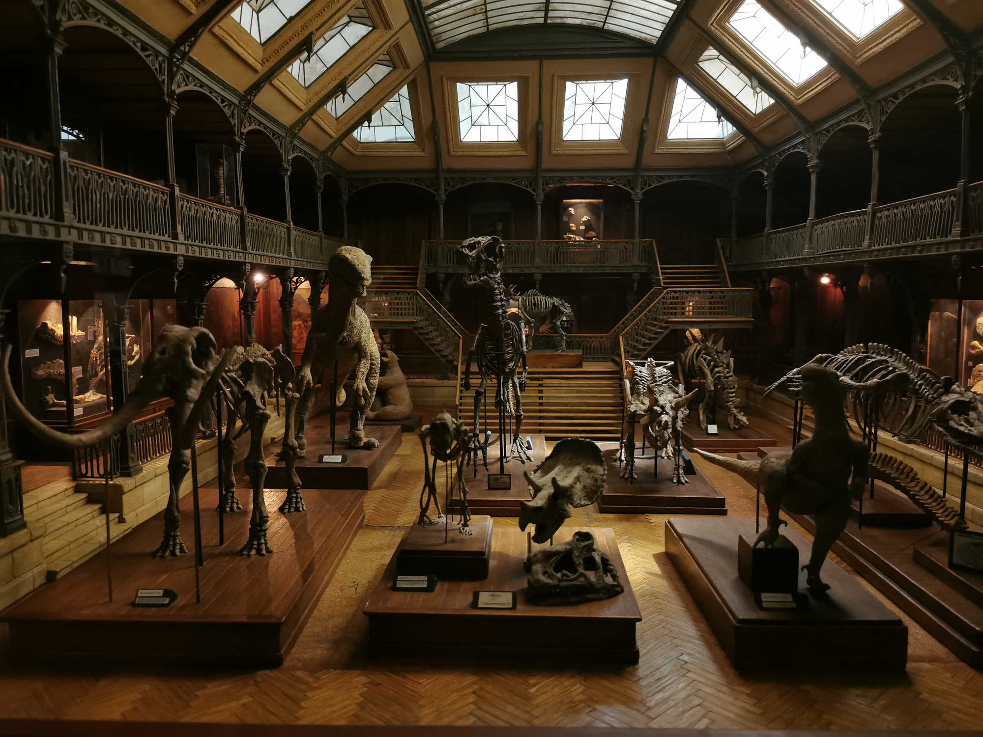Maquette d’un musée d’Histoire Naturelle