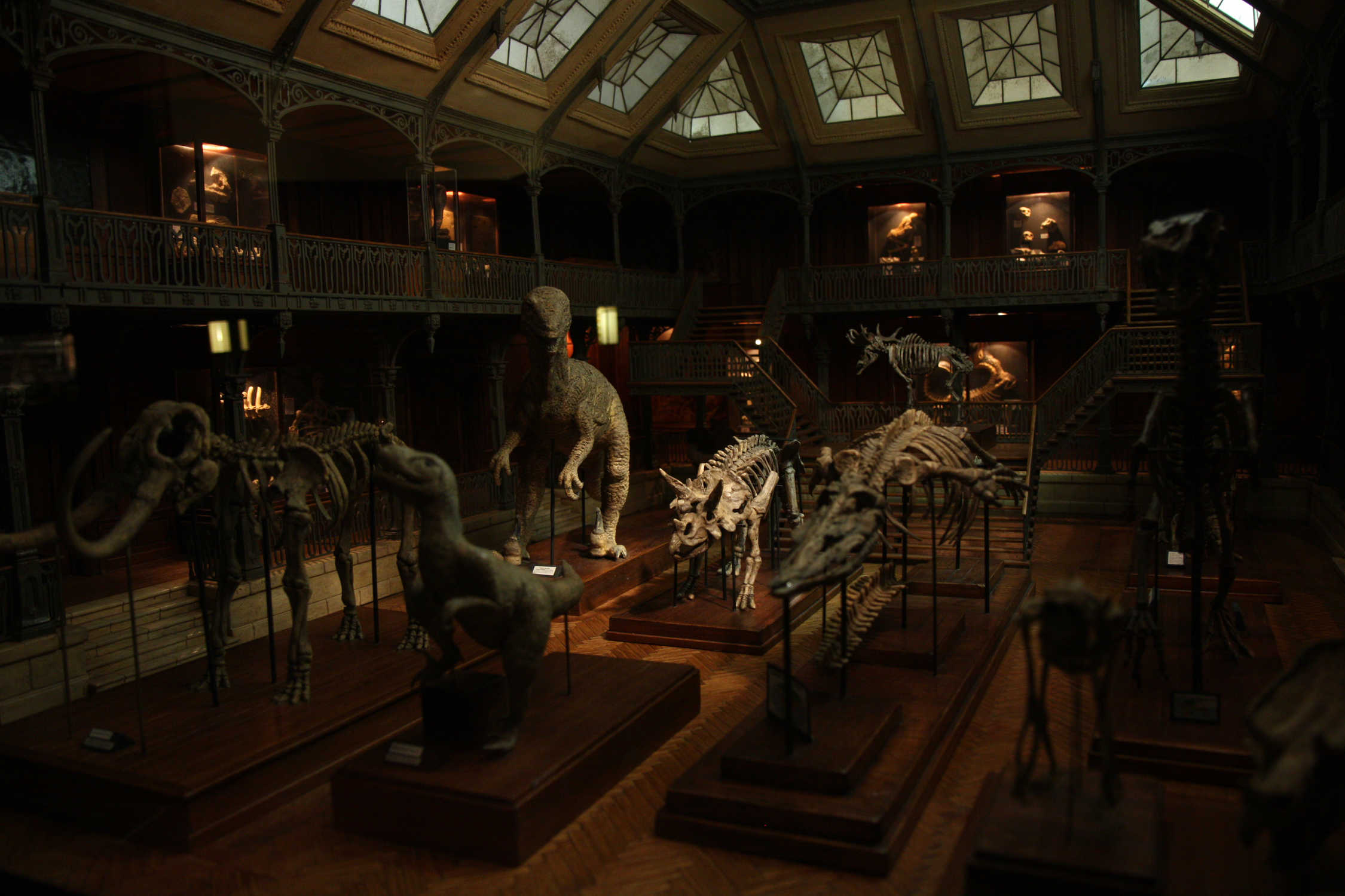 Maquette de musée d’histoire naturelle