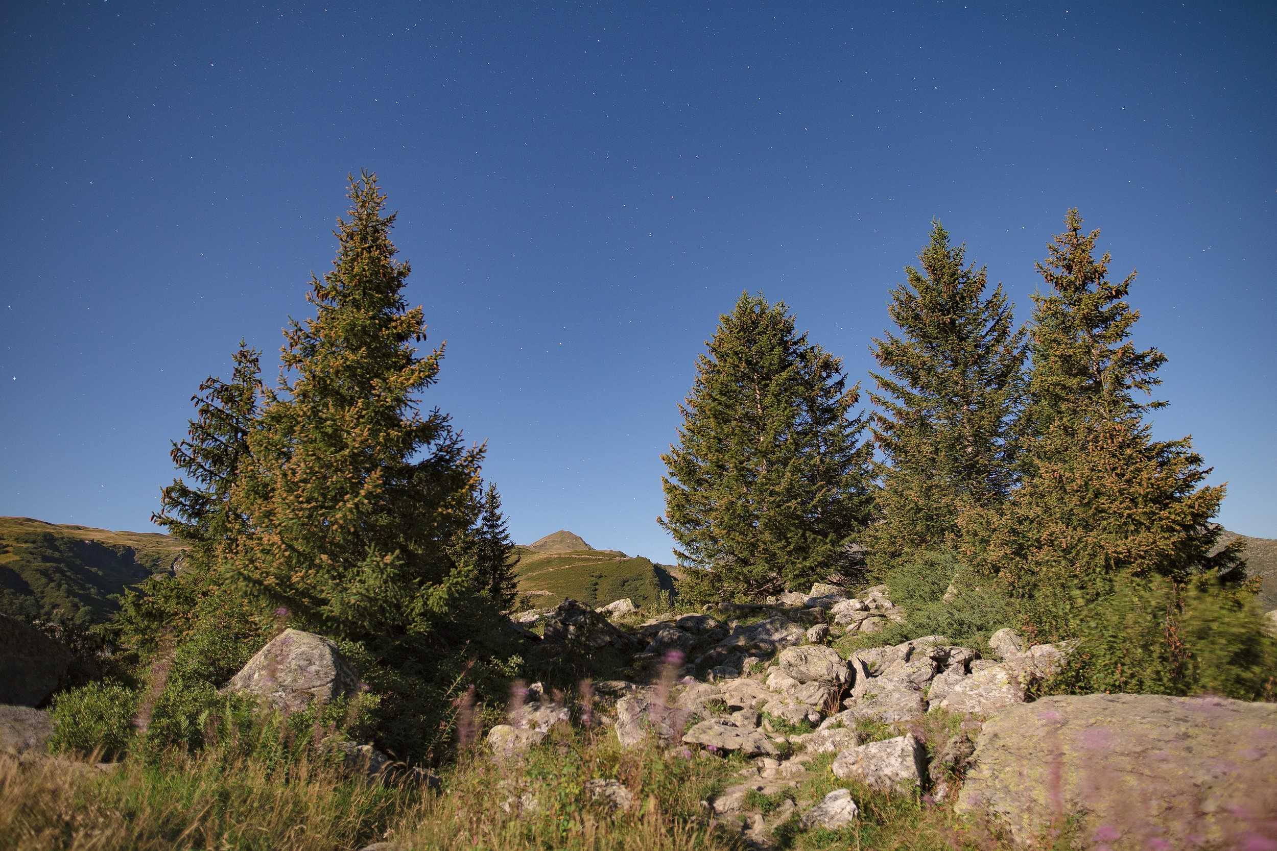 On dirait le jour et pourtant il s'agit de la lumière de la pleine lune