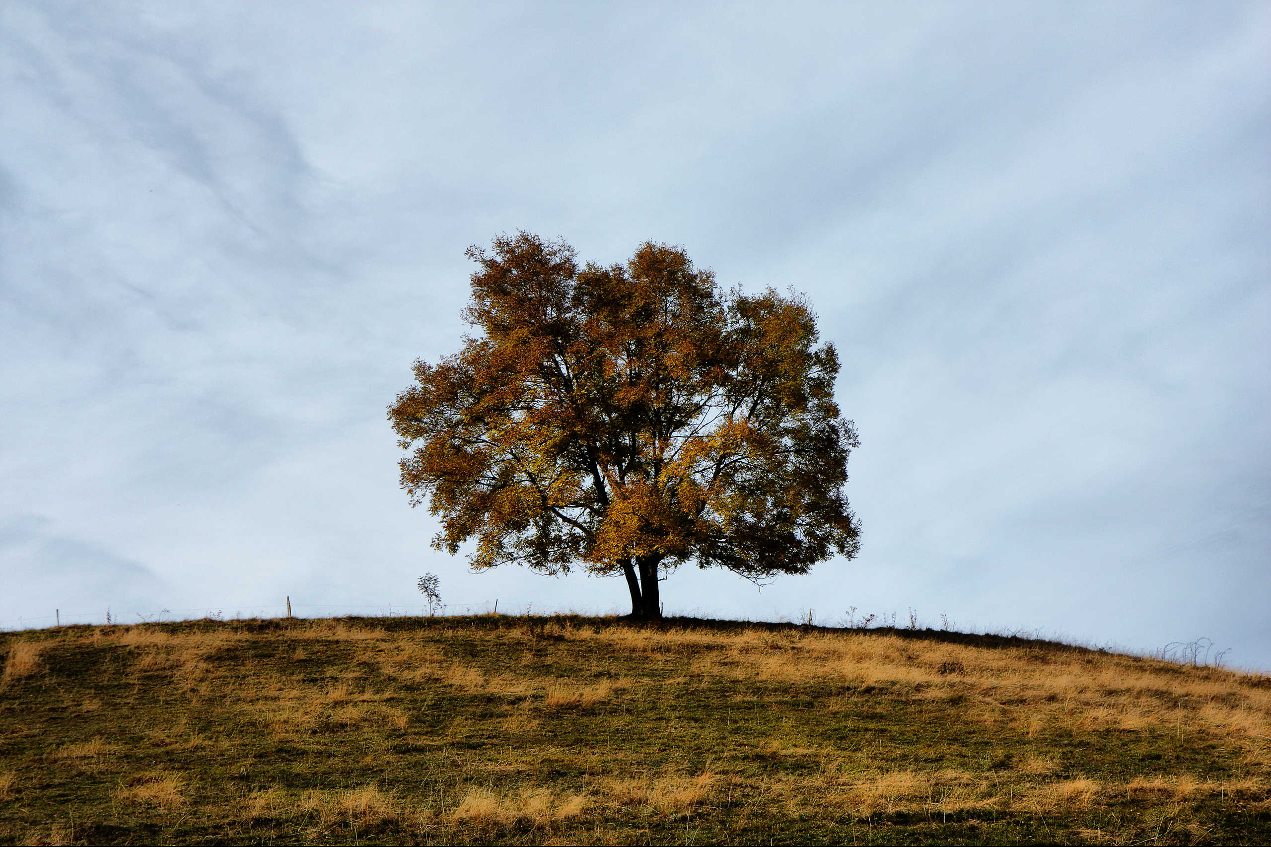 Le Solitaire de Marthod en Automne