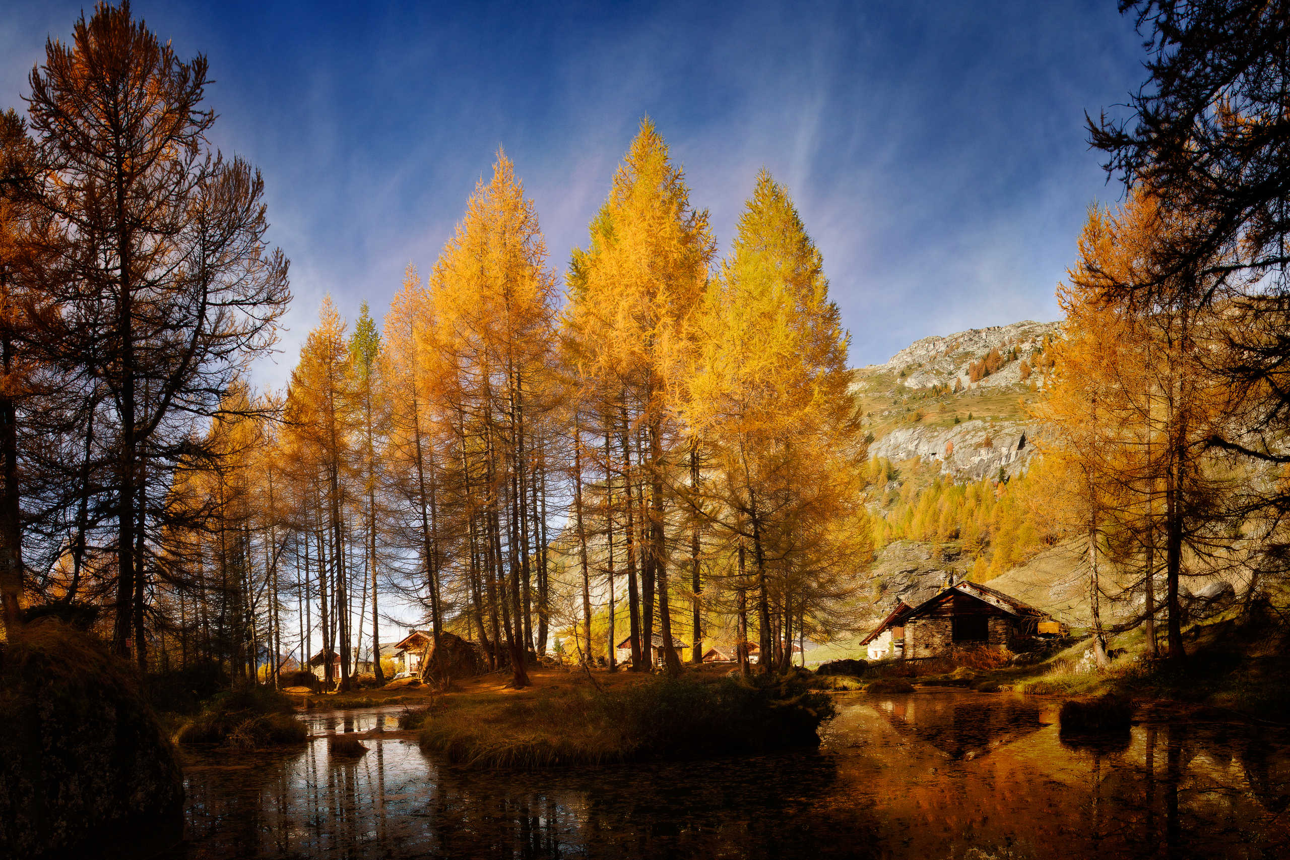 Le Monal et ses Mélèzes d'Automne