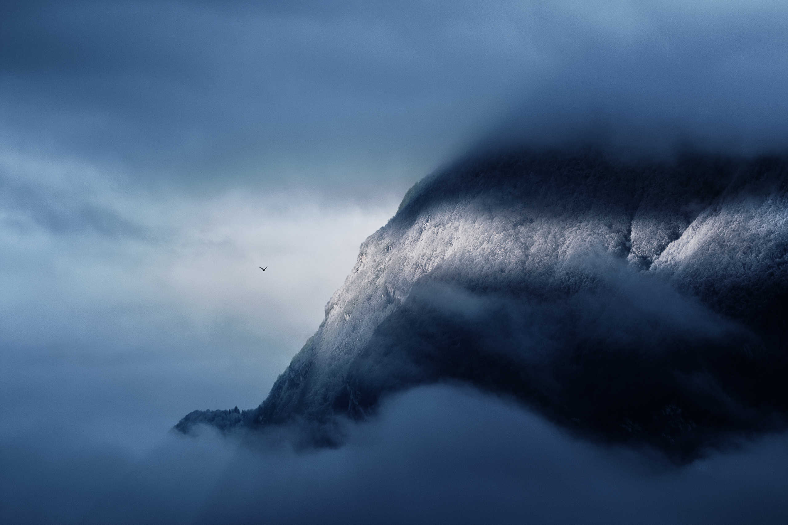 Le Versant du Grand Roc