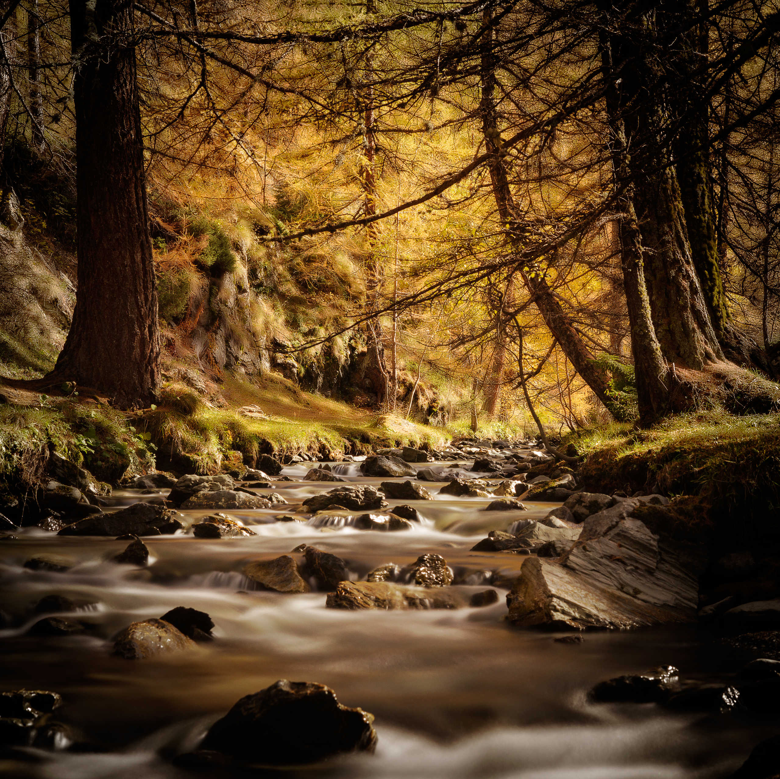 Le Ruisseau du Clou en Automne