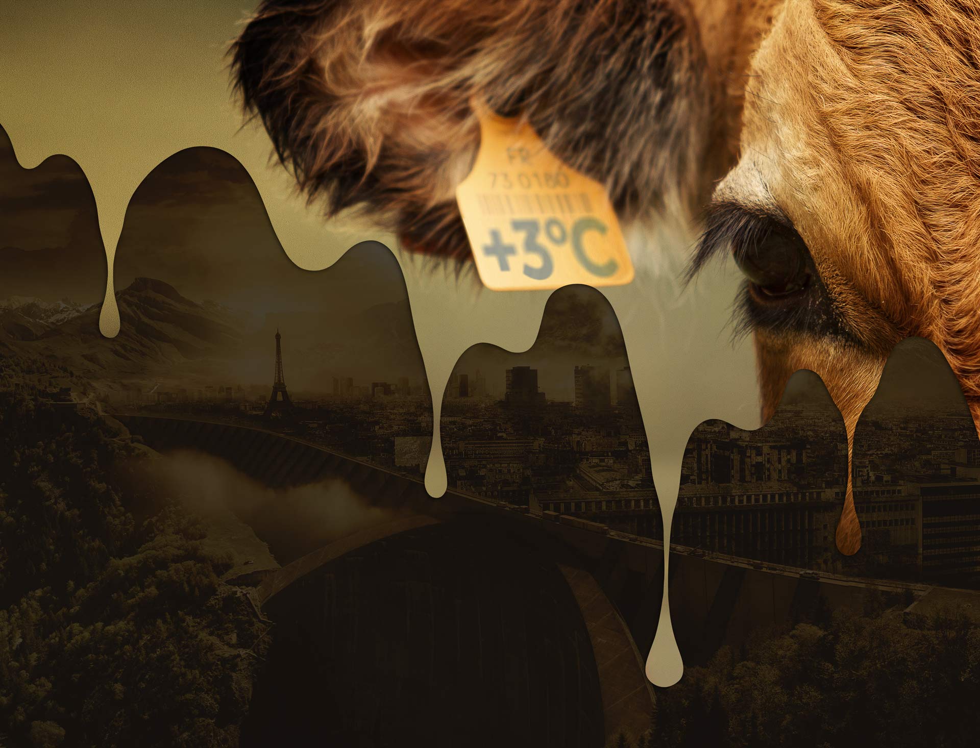 Réchauffement climatique