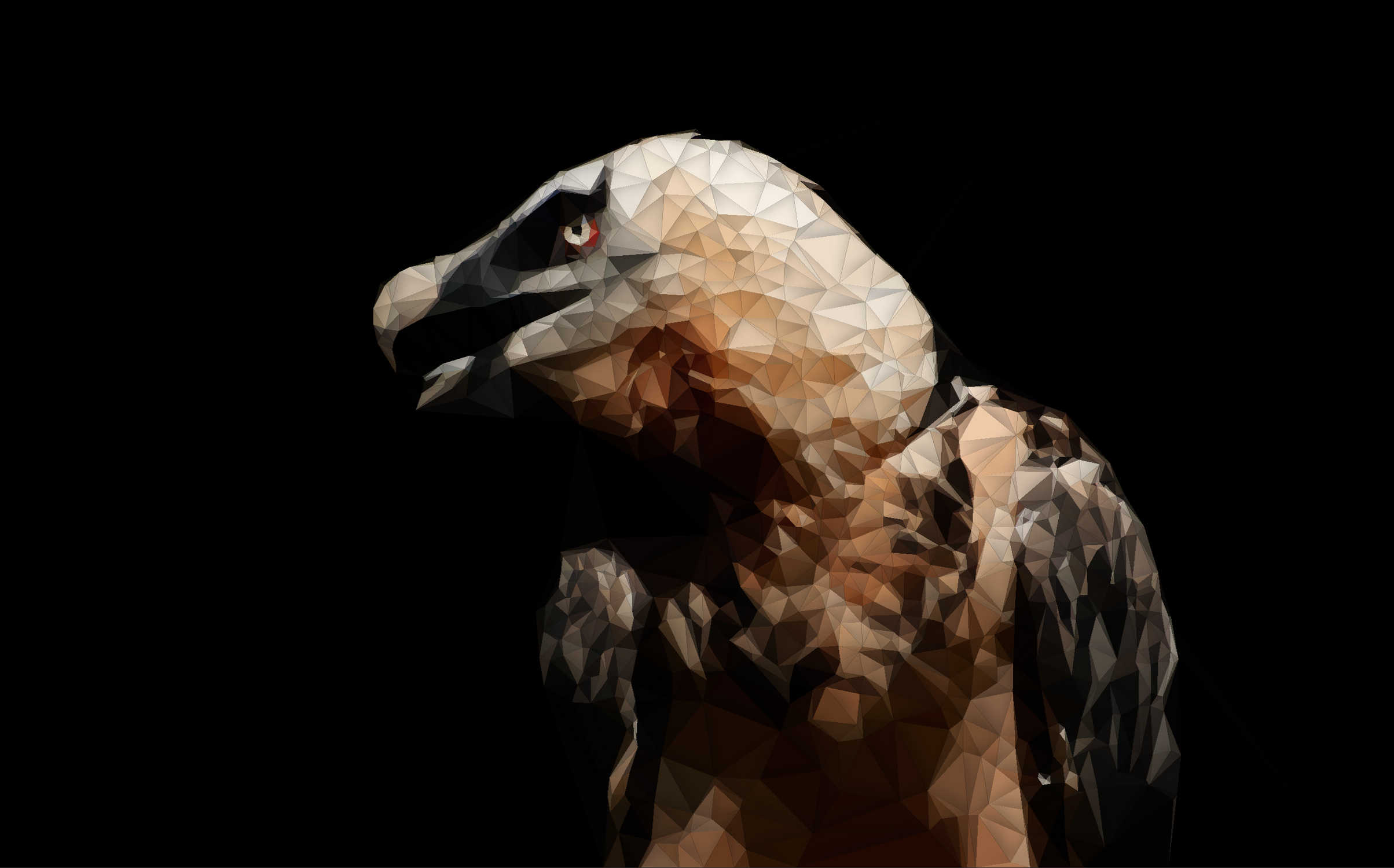 Low Poly Gypaète barbu