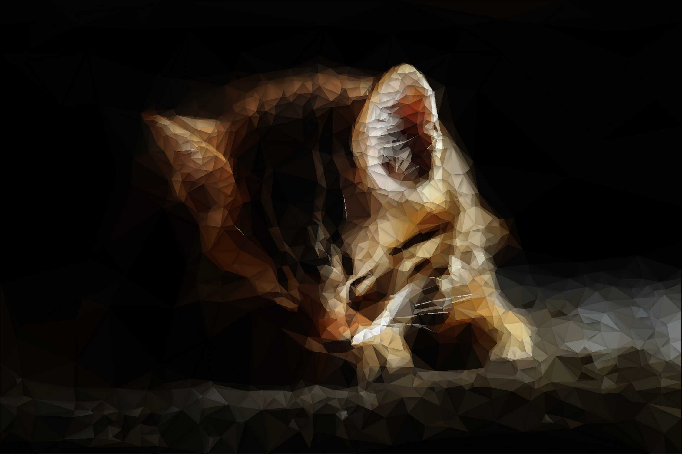 Low Poly Chaton domestique